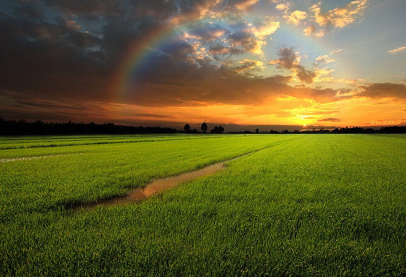 After The Rain Bonito Rainbow After The Rain Hd Wallpaper Peakpx