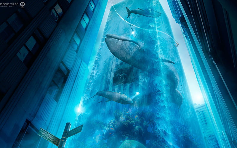 Aqua City, graphics, HD wallpaper