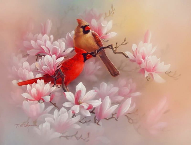 Painted cardinals, art, birds, spring, cardinals, tree, painting, blossoms, flowering, pink, HD wallpaper