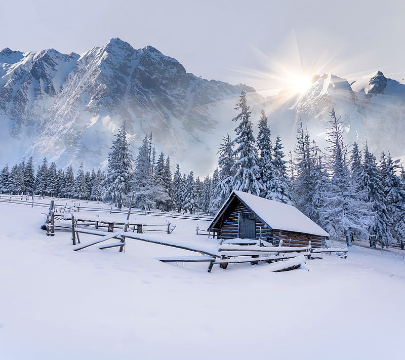 Winter, forest, hut, mountains, snow, sun, tree, HD wallpaper