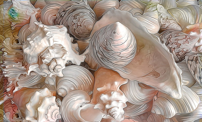 Shells, art, shell, texture, painting, summer, digital, white, pink, HD wallpaper