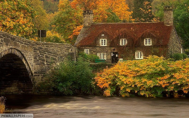 Home, autumn, house, arhitecture, bridge, river, HD wallpaper