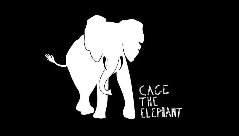 HD wallpaper Band Music Cage The Elephant  Wallpaper Flare