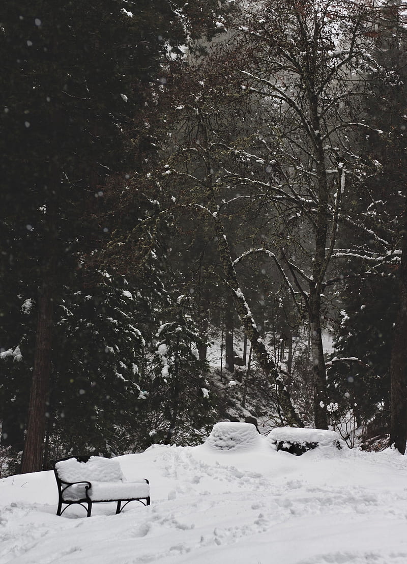 park, snow, winter, trees, bench, HD phone wallpaper