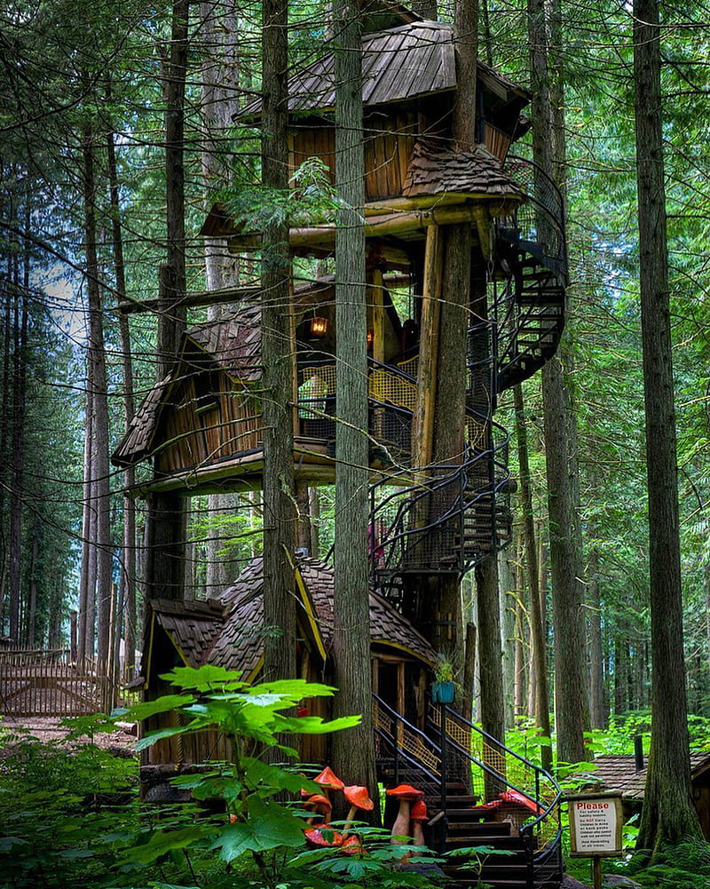 trees, forest, nature, treehouse, tree trunk, portrait display, cabin, leaves, stairs, mushroom, wood, HD phone wallpaper