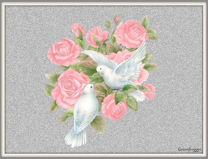PAIR OF DOVES, BIRD, DOVES, CREATION, TWO, HD wallpaper