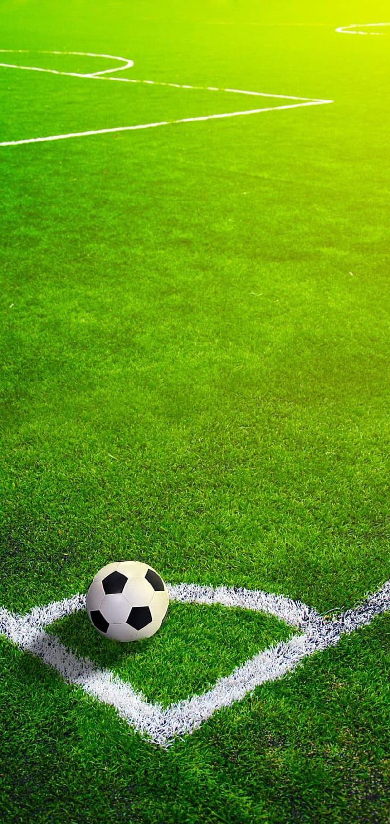 Football, ball, balls, ground, football field, frases, futbol, HD phone  wallpaper | Peakpx