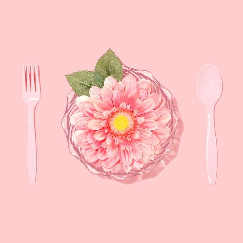flat lay graphy of disposable spoon, fork, and pink petaled flower, HD phone wallpaper