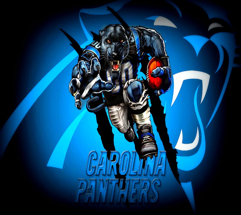 Panthers, carolina, football, HD wallpaper