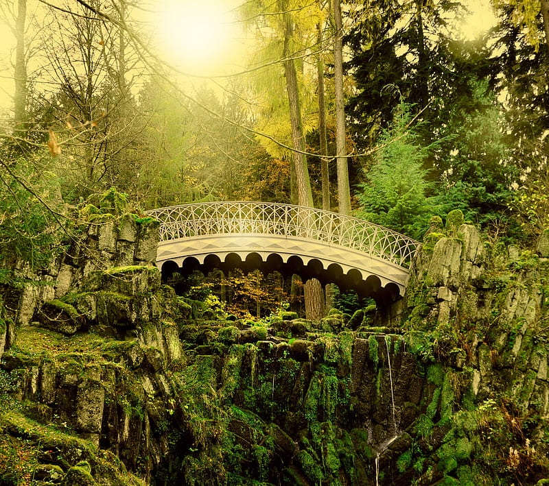 Fantasy Forest, bridge, green, landscape, nature, HD wallpaper