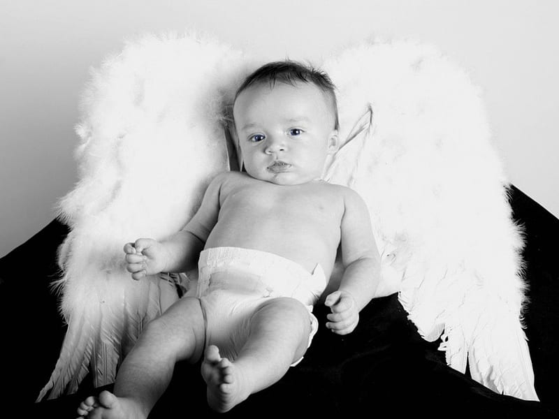 Angel Baby, cute, wings, angel, winged, baby, diaper, HD wallpaper