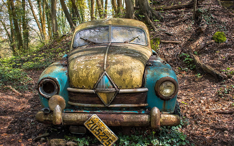 rusty car, dump, abandoned car, Brazil, forest, retro cars, HD wallpaper