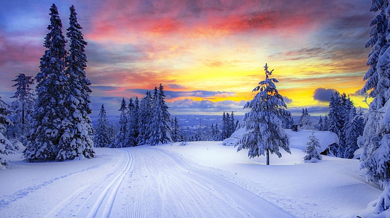 magnificent sky over a winter forest r, forest, snow, colors, r, tracks, sky, winter, HD wallpaper