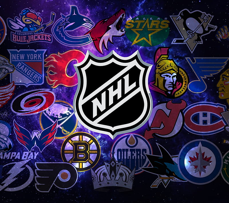 NHL team, hockey, HD wallpaper