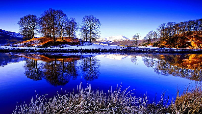 a crisp blue winter day on a lake, grass, trees, lake, blue, winter, HD wallpaper
