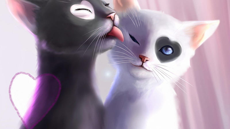  Gatito amor, gatito, el amor, 3d, Fondo de pantalla HD