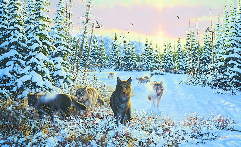 Wolves, art, michael sieve, painting, lup, wolf, pictura, winter, iarna, HD wallpaper