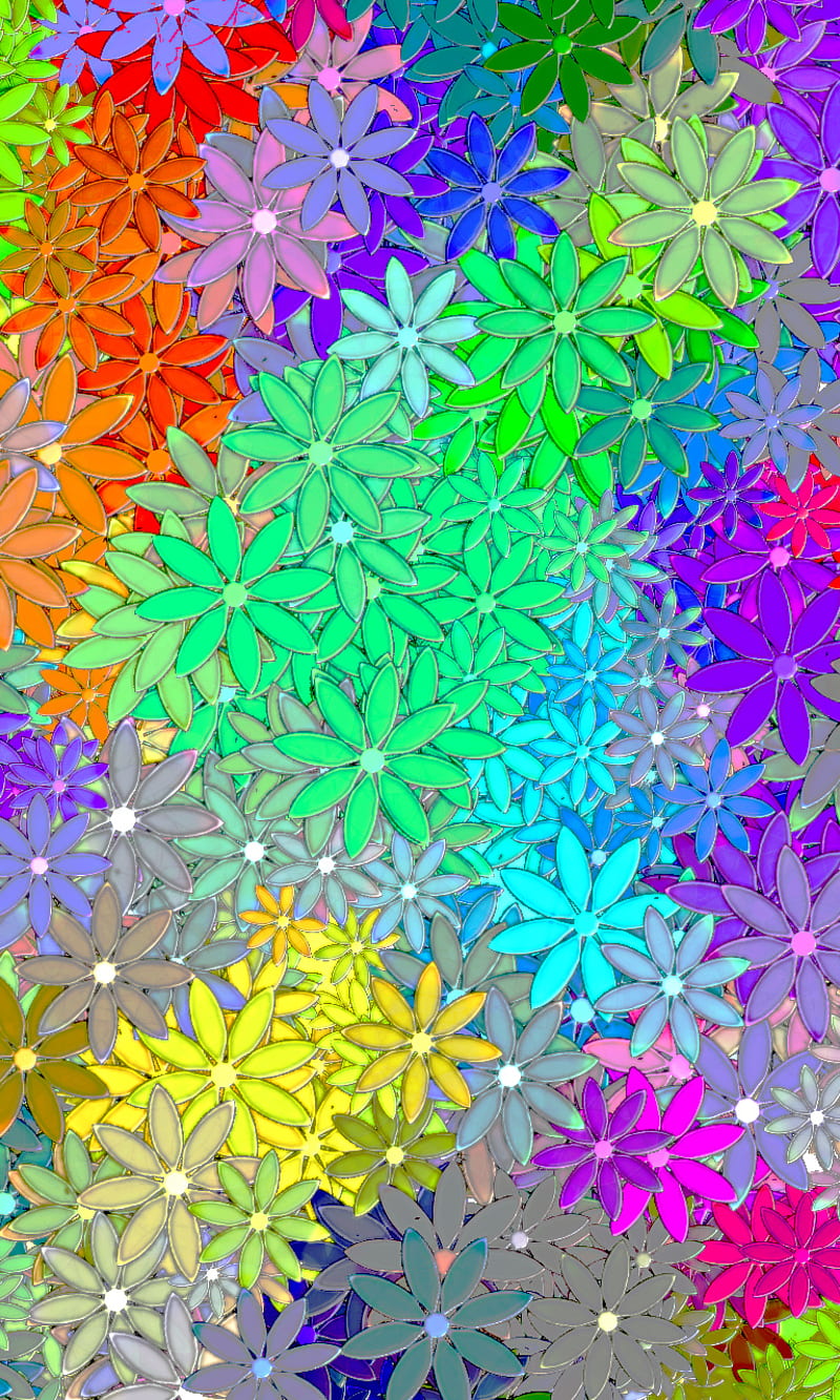 Margaritas de colores, flores, suave, visual, Fondo de pantalla de teléfono  HD | Peakpx