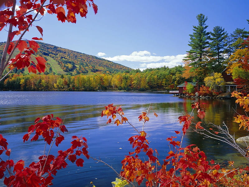 Moose Pond And Mount Pleasant In Autumn Maine, pond, mountain, autumn ...