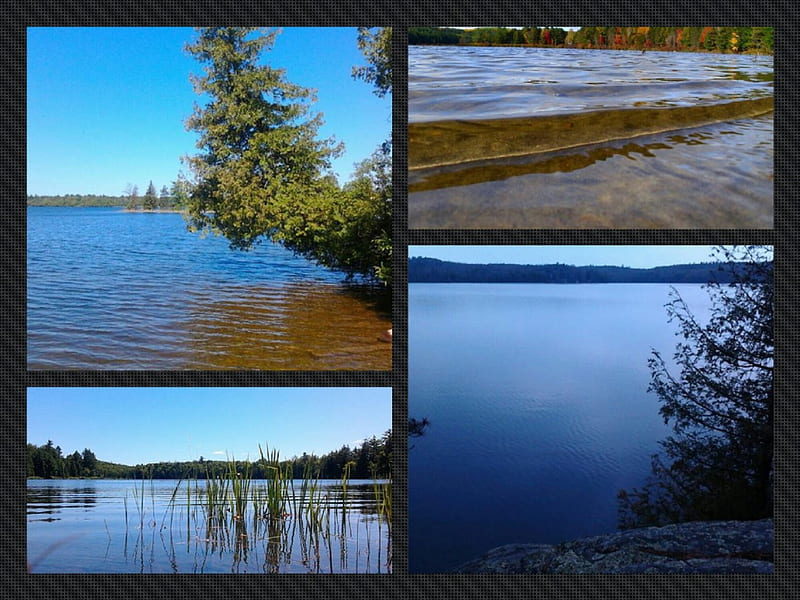 ~~; Ontario Lakes ;~~, lakes, water, trees, blue, HD wallpaper