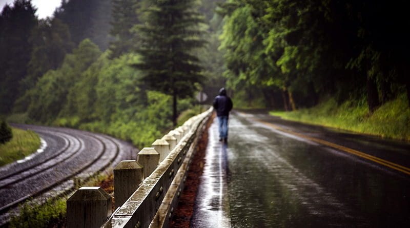 Walking Alone man, walking, alone, HD wallpaper