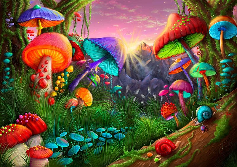 Magic Mushroom Land, colors, mushrooms, vibrant, bright, HD wallpaper