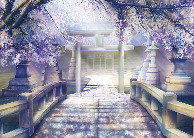 The Shrine, house, scenic, sakura blossom, plant, floral, cherry blossom, sweet, blossom, bridge, anime, shrine, path, temple, scenery, light, gate, sakura, lovely, view, building, tree, flower, nature, scene, HD wallpaper