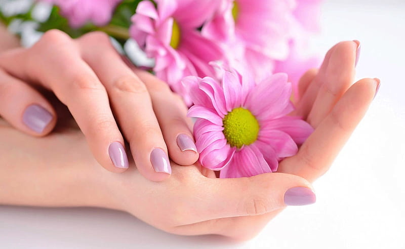 ️, Hands, Pink, Flowers, Manicure, HD wallpaper