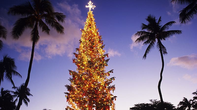 How to Have a White Christmas in Hawaii. CondÃ© Nast Traveler, Christmas Inside, HD wallpaper