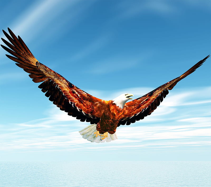 FLY LIKE AN EAGLE, HD wallpaper | Peakpx