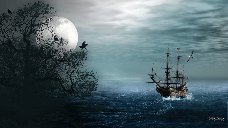 Haunting Night at Sea, haunting, sea gulls, clouds, seagulls, sea, sail, fog, gothic, full moon, evening, night, raven, ocean, birds, sky, mist, sailing ship, goth, tree, water, ship, crow, HD wallpaper