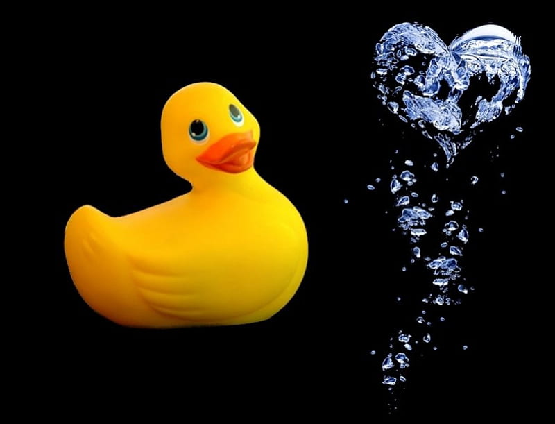 My lovely duck, sensual, stunning, yellow, adorable, nice, art, lovely, birds, toy, black, collage, sexy, abstract, cute, water, cool, heart, awesome, eyes, red, bonito, elegant, animal, graphy, duck, hot, animals, amazing, romantic, smile, alone, bird, funny, HD wallpaper