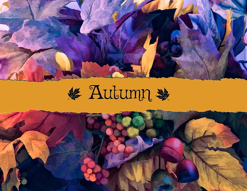 Autumn Greeting, Abstract, Fall Season, Autumn, Nature, HD wallpaper