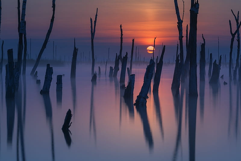 Lake Trees Ar Sunset, HD wallpaper