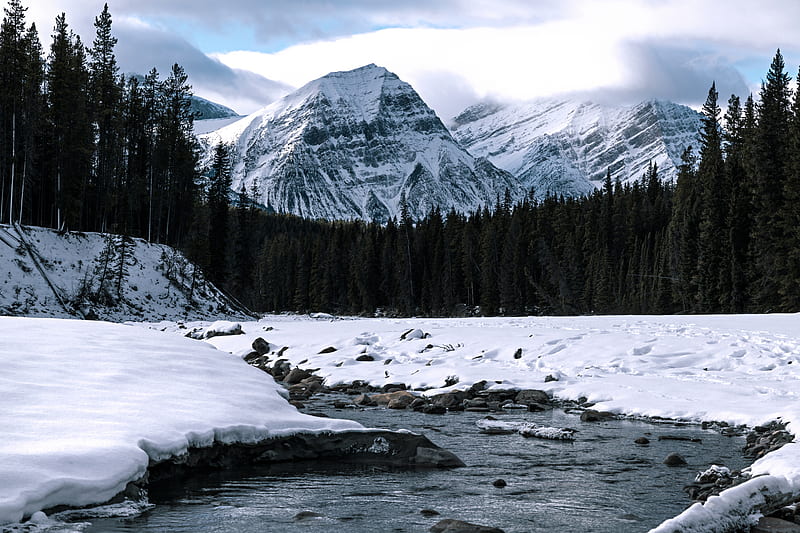 mountain, peak, river, forest, snow, snowy, HD wallpaper