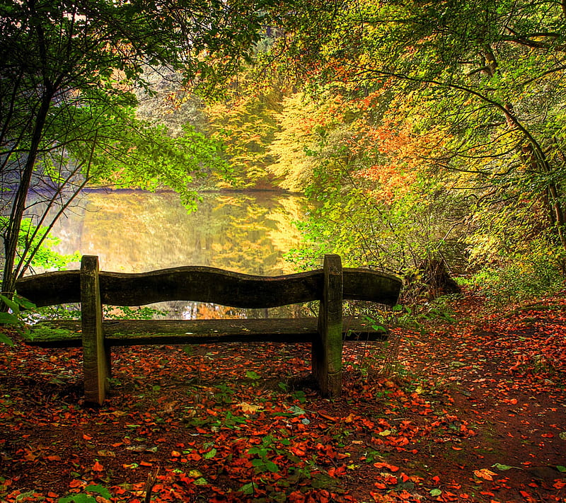 Park bench, automn, lake, river, HD wallpaper