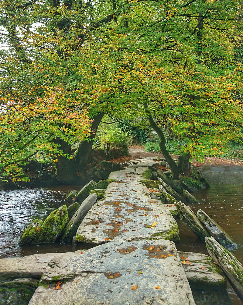 Tarr Steps, autumn, devon, nature, somerset, HD phone wallpaper