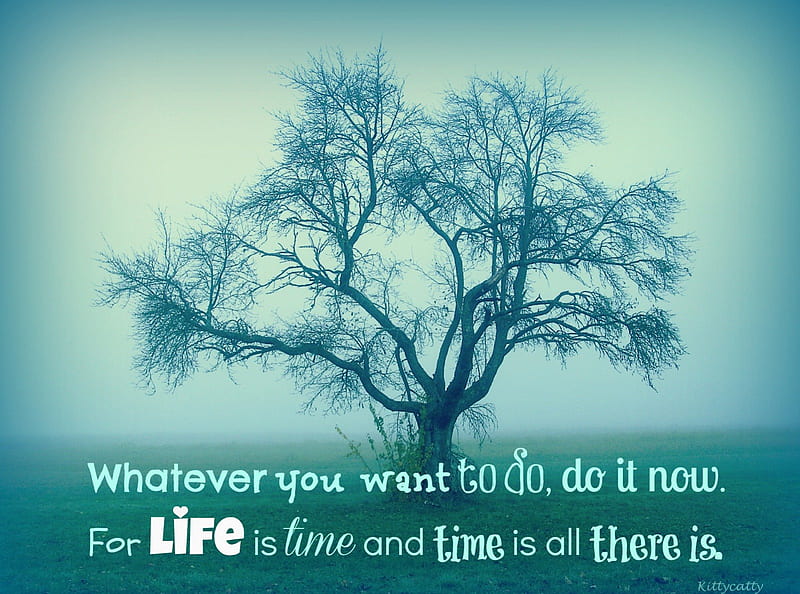 ღ~LIFE time~ღ , life, time, mind teaser, abstract, fog, saying, tree, life time, quote, landscape, HD wallpaper