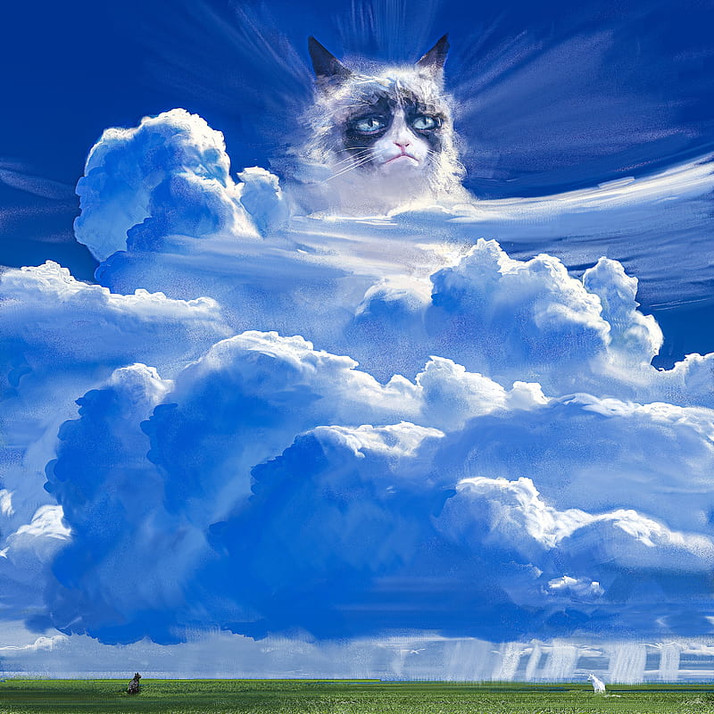 clouds, sky, Grumpy Cat, cats, digital, HD phone wallpaper
