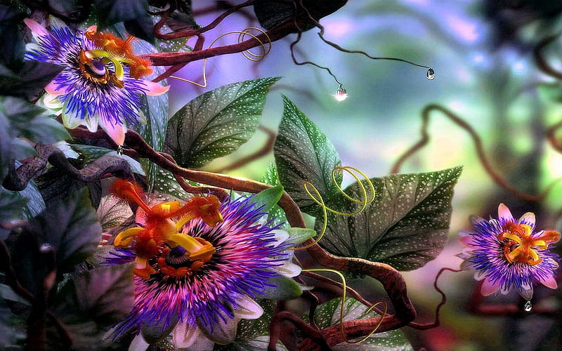 Passion Flowers, garden, blossoms, leaves, lights, plant, HD wallpaper