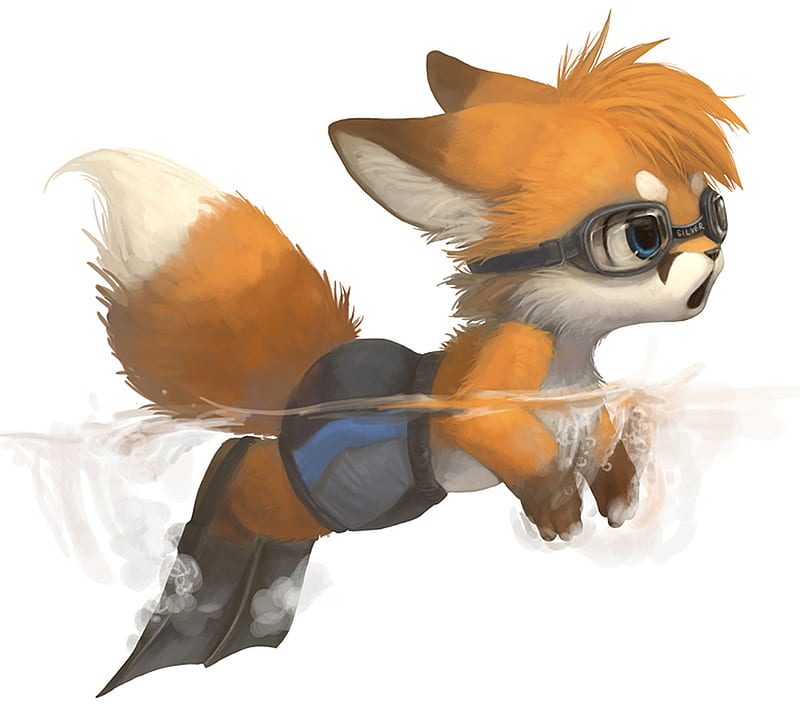 Swimming Fox, cute, furry, HD wallpaper Swimming Fox, cute, furry, HD wallpaper