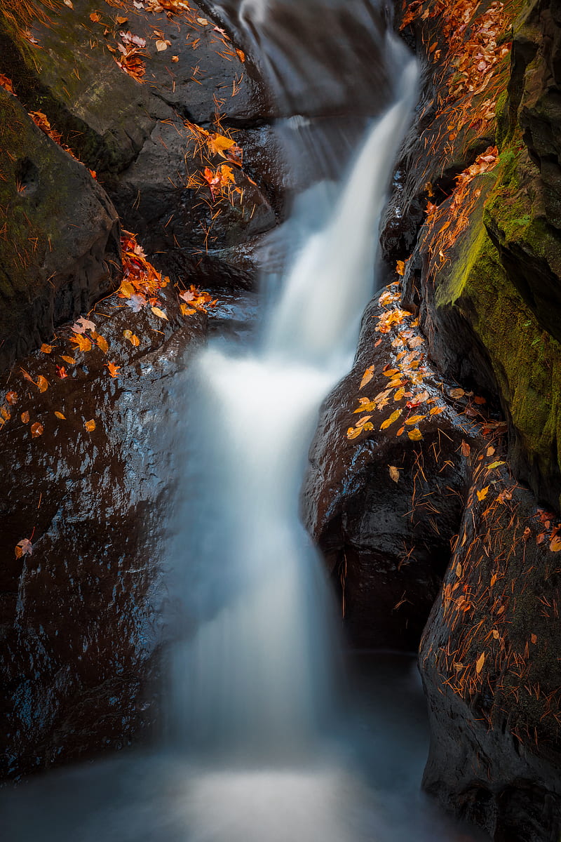 waterfall, river, stones, leaves, water, HD phone wallpaper