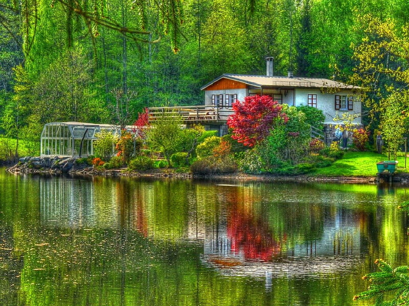 Forest houses, riverbank, shore, cottages, grass, bonito, mirrored, nice, green, river, reflection, cabins, lovely, clear, houses, greenery, emerald, creek, lake, water, summer, crystal, nature, branches, villas, HD wallpaper
