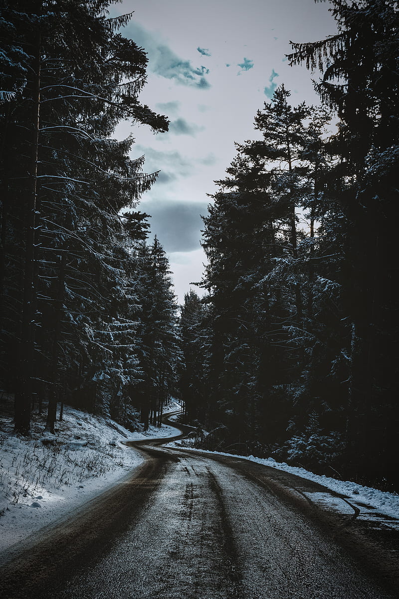 road, trees, snow, winter, winding, HD phone wallpaper