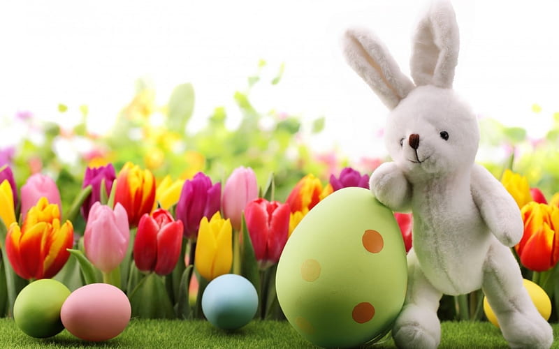 Happy Easter!, red, colorful, orange, toy, yellow, easter, card, egg, green, flower, bunny, white, tulip, blue, HD wallpaper