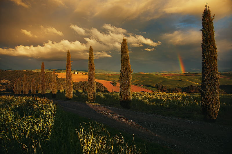graphy, Tuscany, Cypress, Italy, Rainbow, Road, Sunset, HD wallpaper