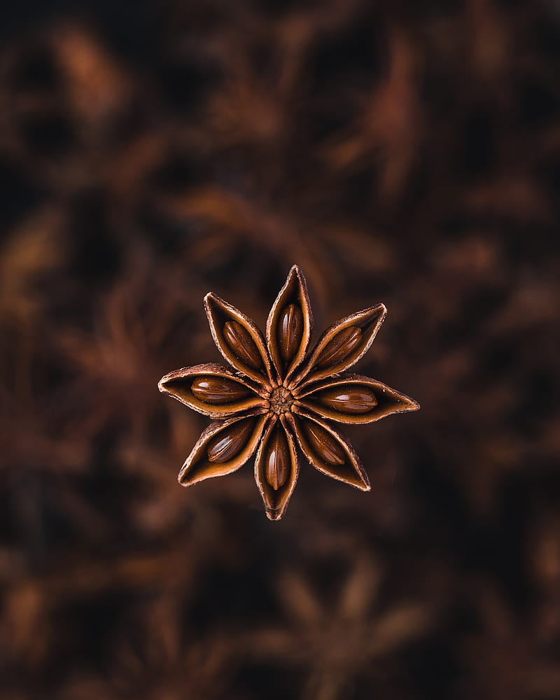 star anise, seeds, spice, plant, brown, HD phone wallpaper