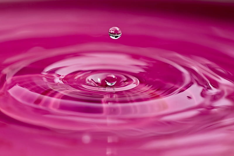 water, pink, drop, jill wellington, skin, HD wallpaper