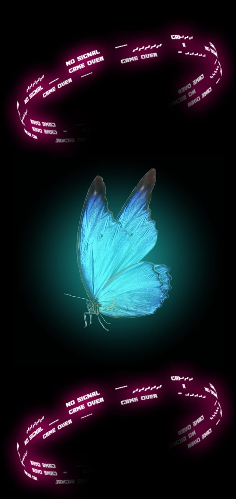 Neon Butterfly , butterflies, clover, color, colorful, leaf, lucky, HD phone wallpaper