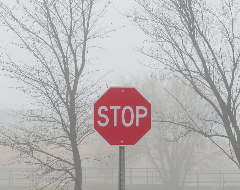 stop, sign, fog, inscription, text, HD wallpaper